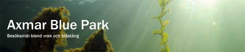 axmarbluepark.jpg
